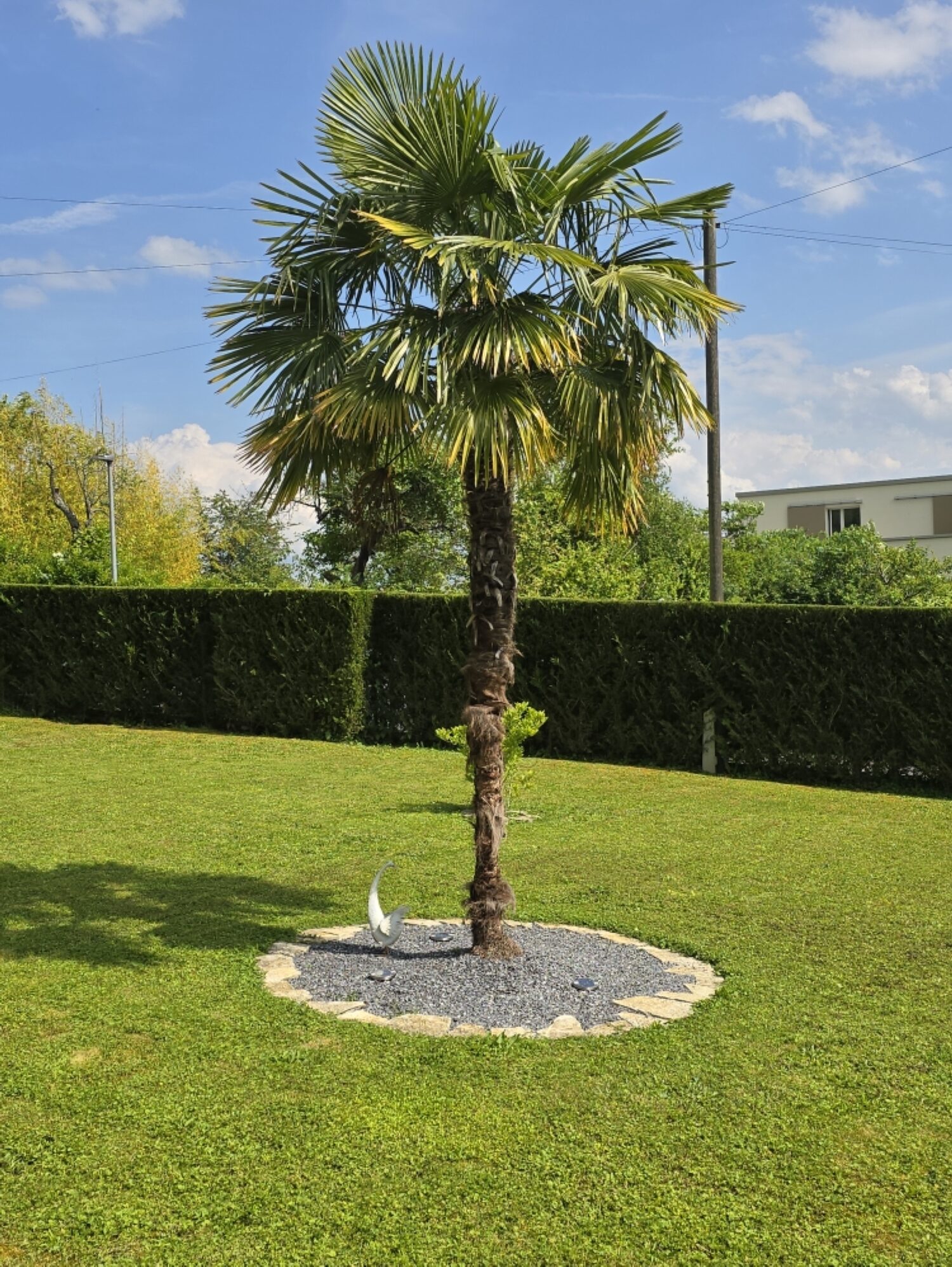 https://www.jardinierlaneuveville.ch/wp-content/uploads/2024/06/Taille-Haie-1-rotated.jpg